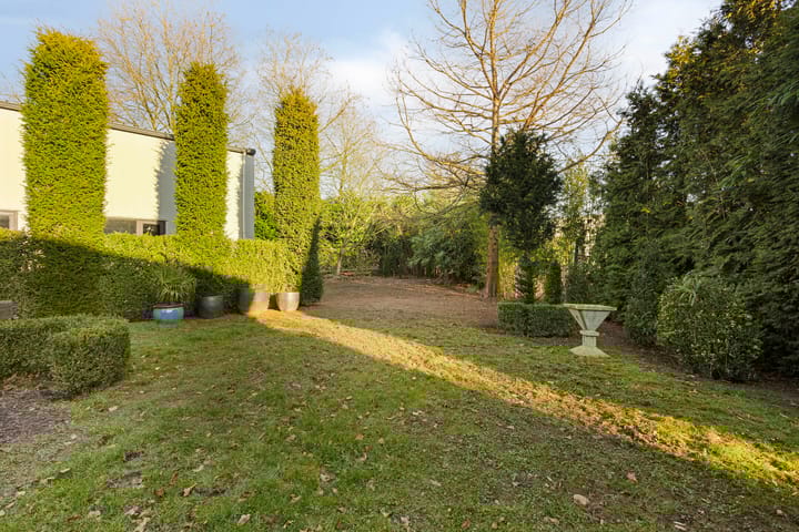 Photo 62 of Schaafdries 60