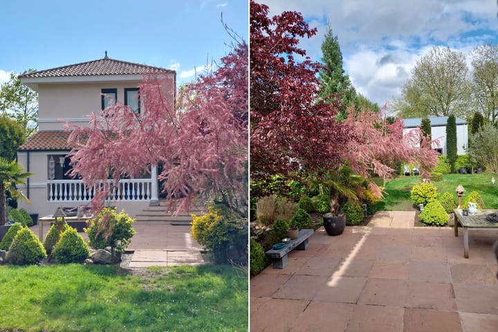 Photo 63 of Schaafdries 60