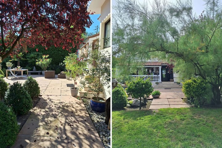 Photo 65 of Schaafdries 60