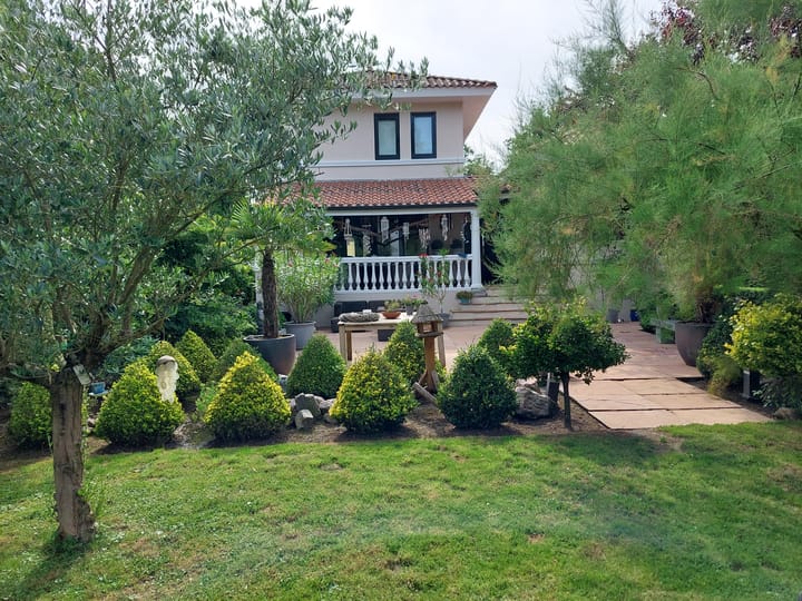 Photo 66 of Schaafdries 60