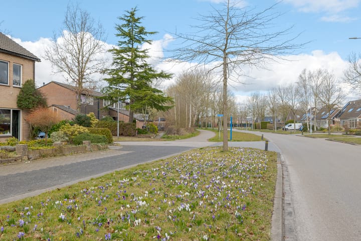 Foto 6 van Bleijenbeek 5