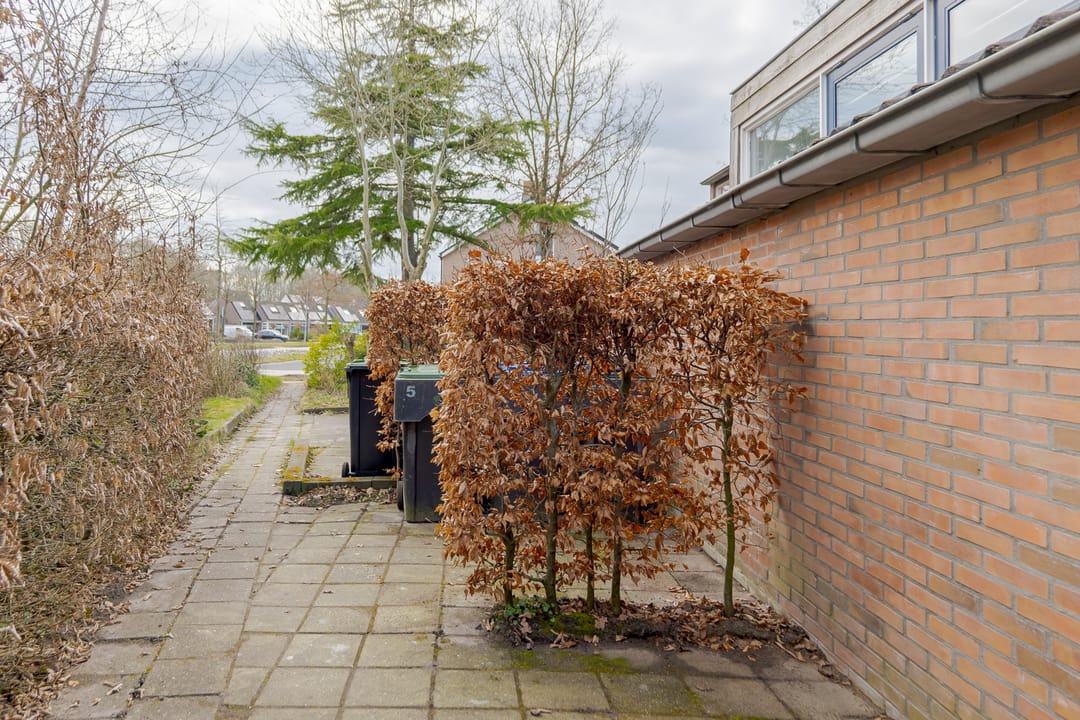 Foto 7 van Bleijenbeek 5