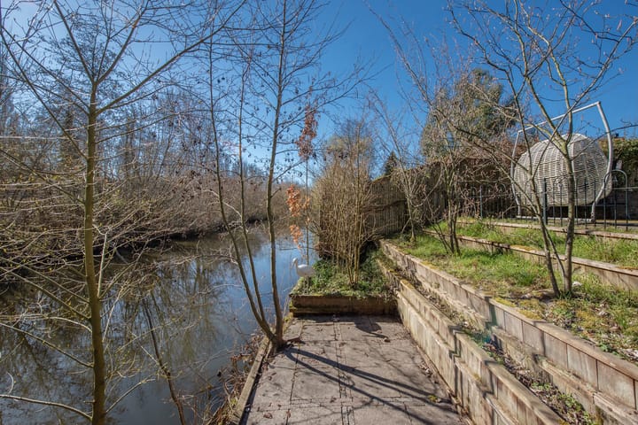 Foto 3 van Palestrinarode 50