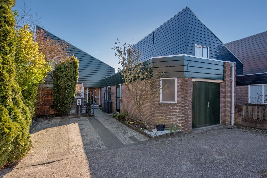 Foto 7 van Palestrinarode 50