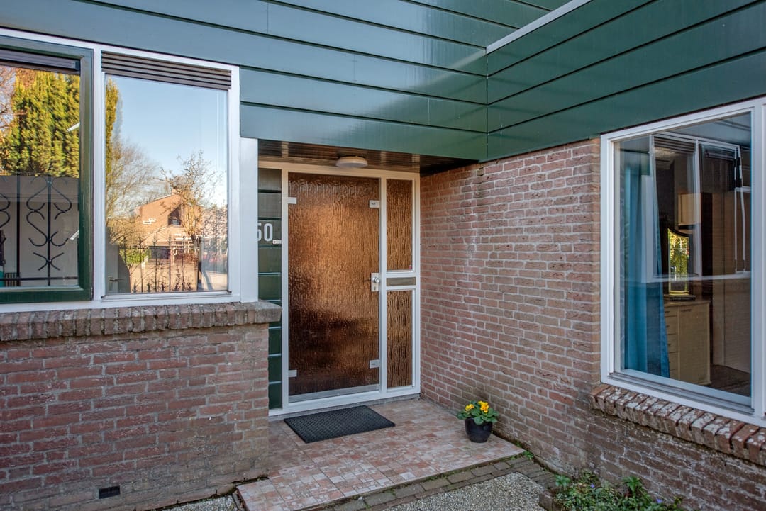 Foto 8 van Palestrinarode 50