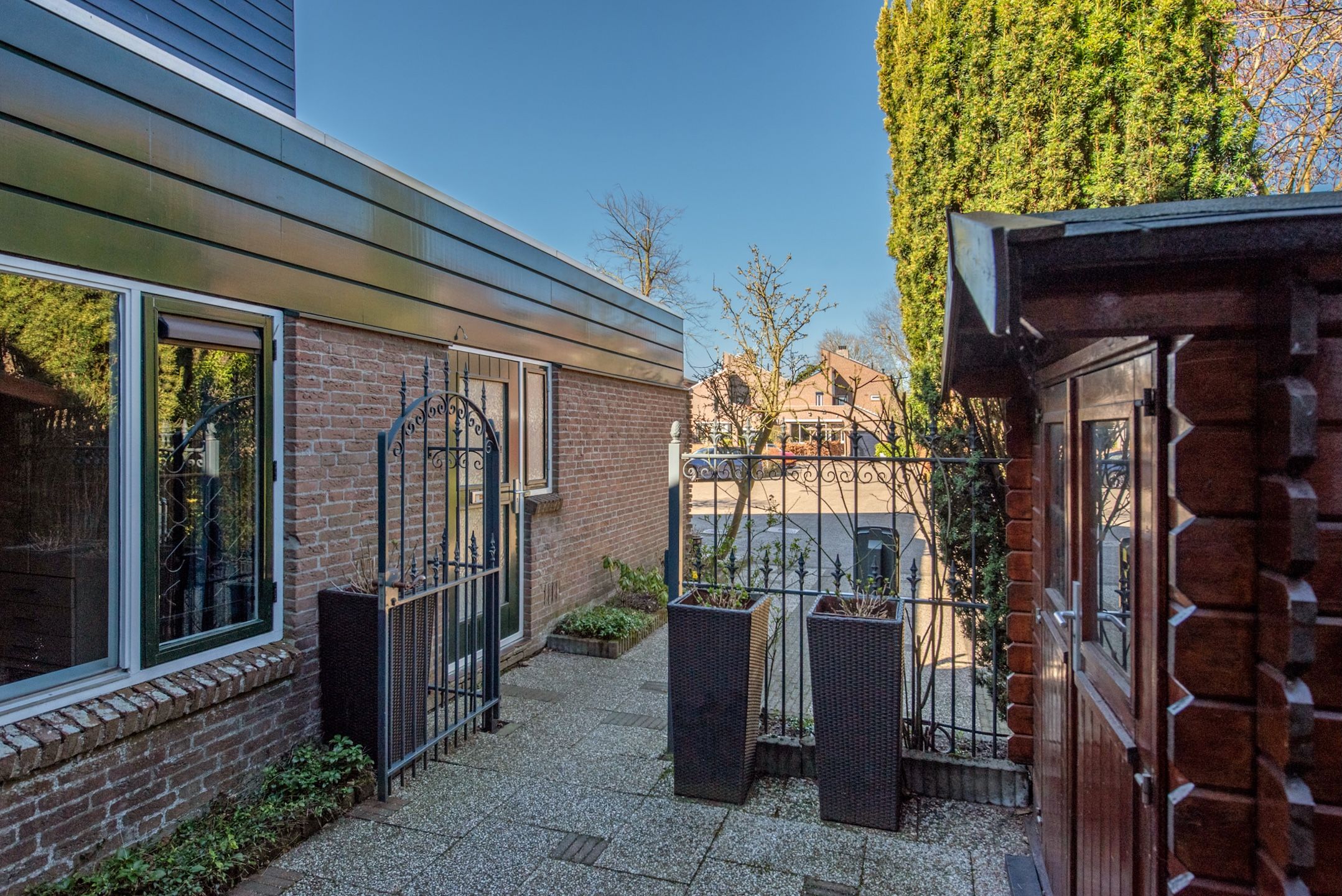 Foto 9 van Palestrinarode 50