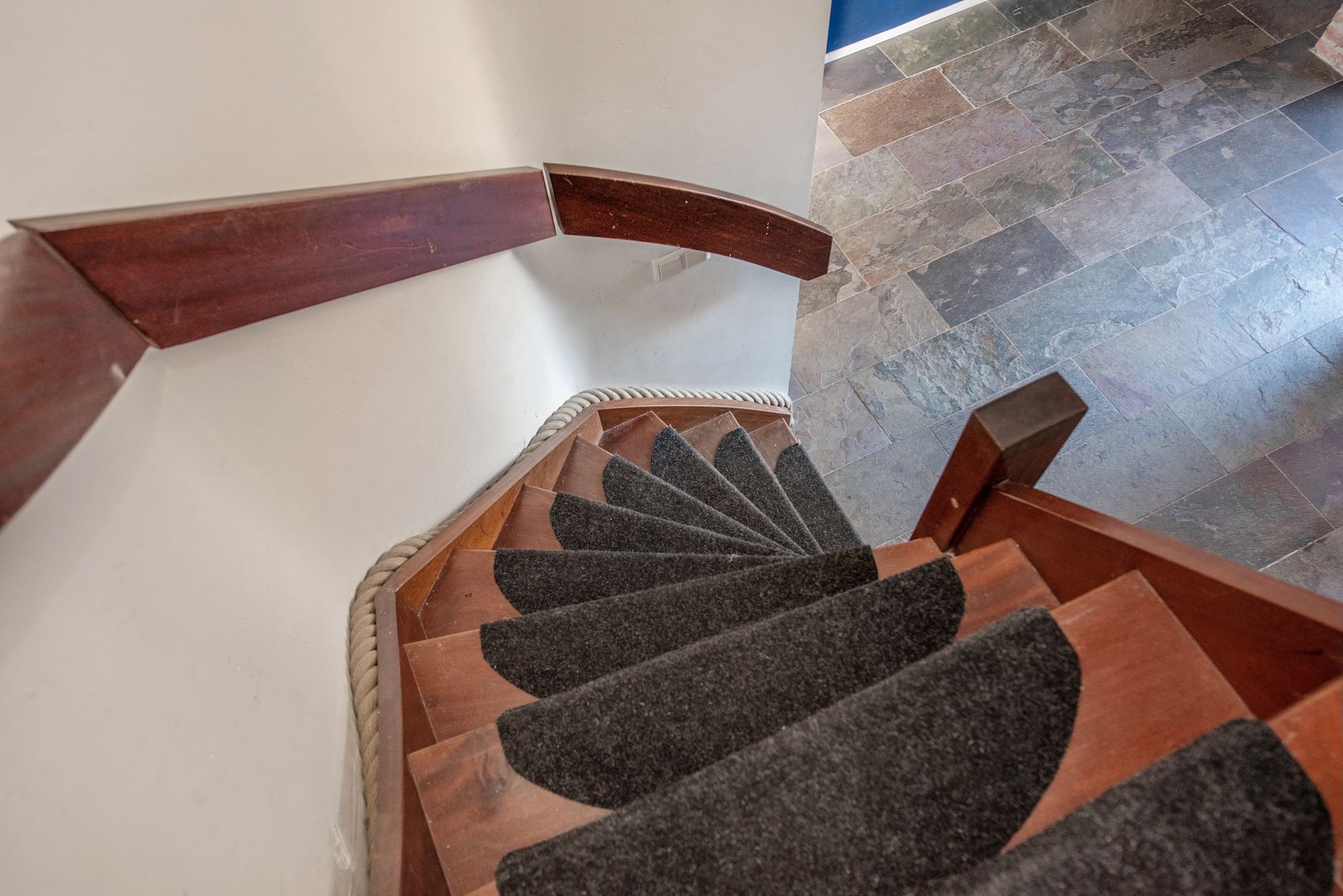 Foto 42 van Palestrinarode 50