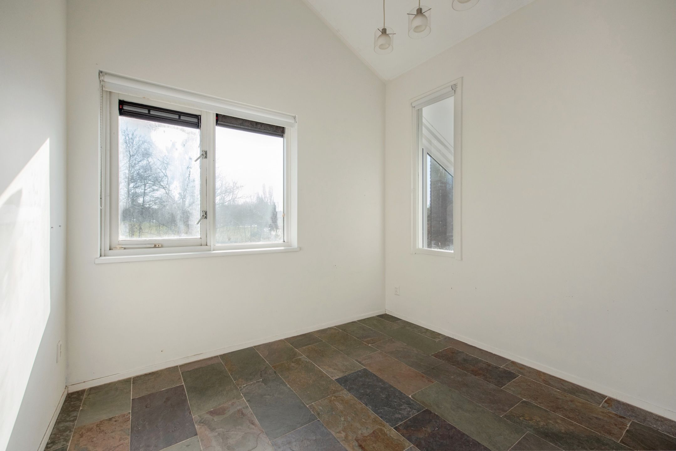 Foto 45 van Palestrinarode 50