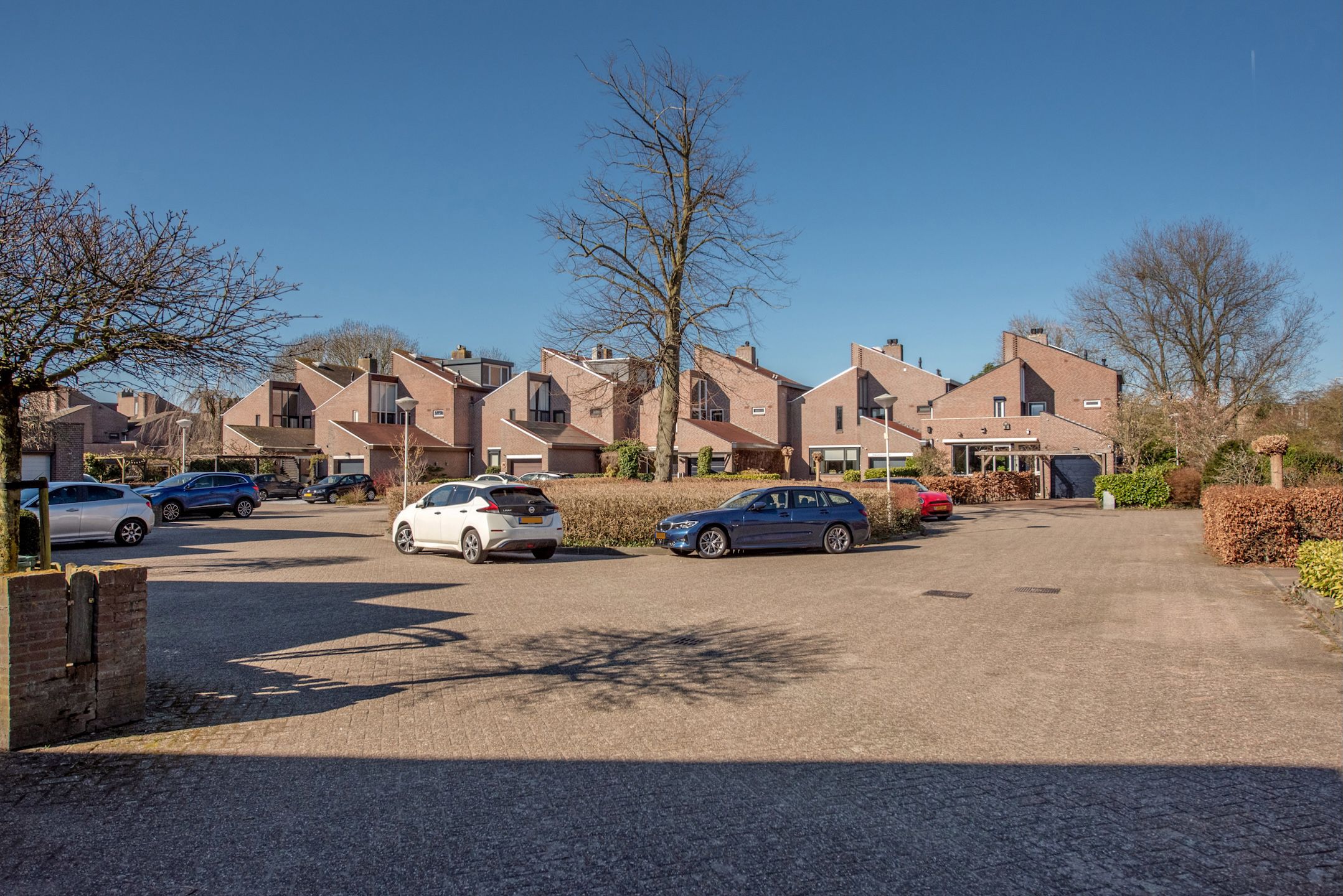 Foto 57 van Palestrinarode 50