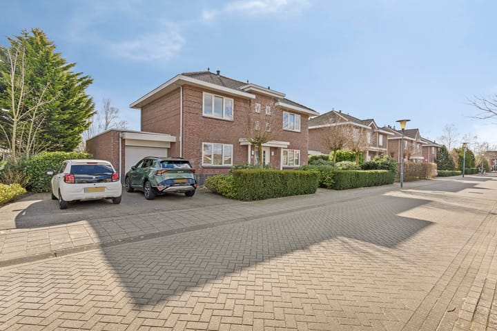 Foto 2 van Moleplaat 8