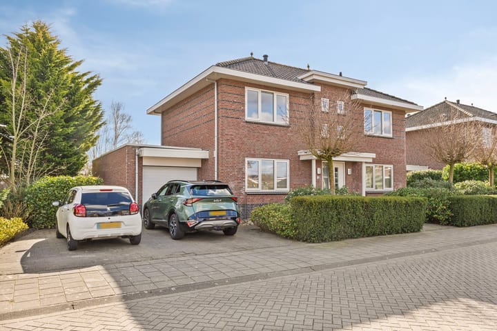 Foto 3 van Moleplaat 8