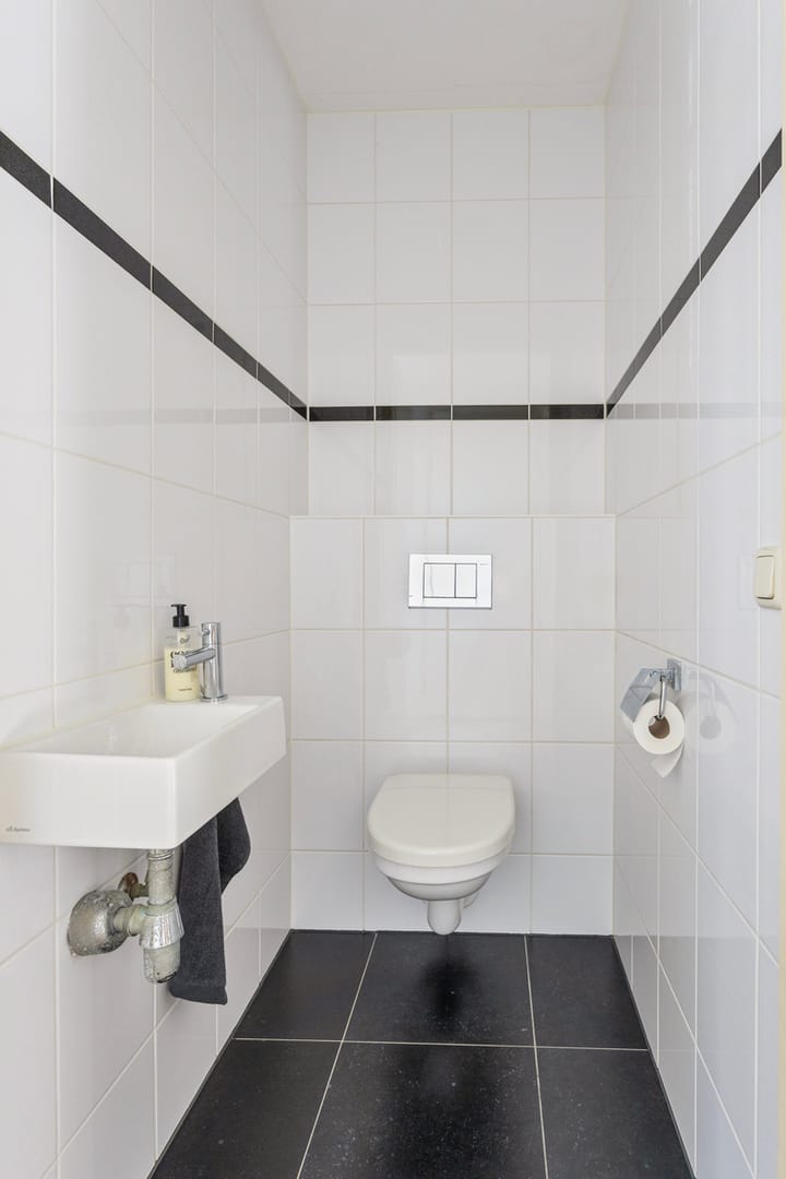 Foto 6 van Moleplaat 8