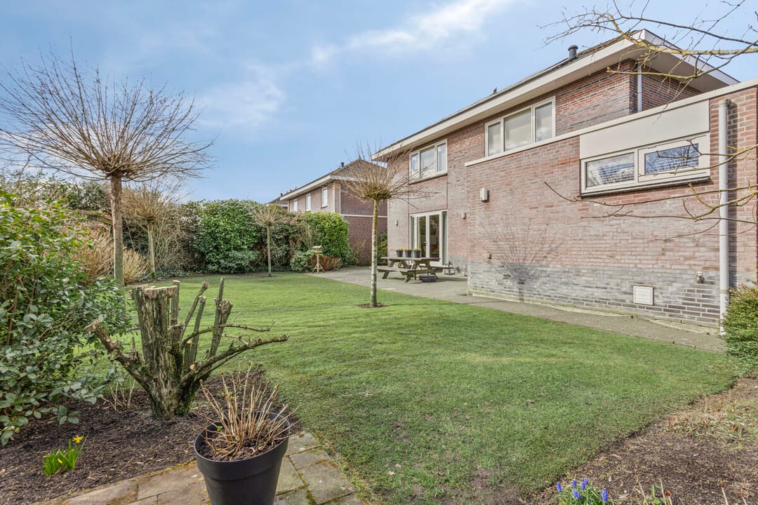 Photo 31 of Moleplaat 8