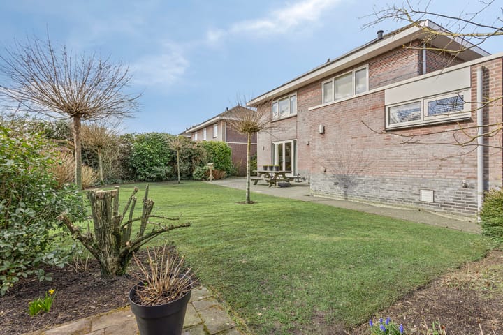 Foto 31 van Moleplaat 8