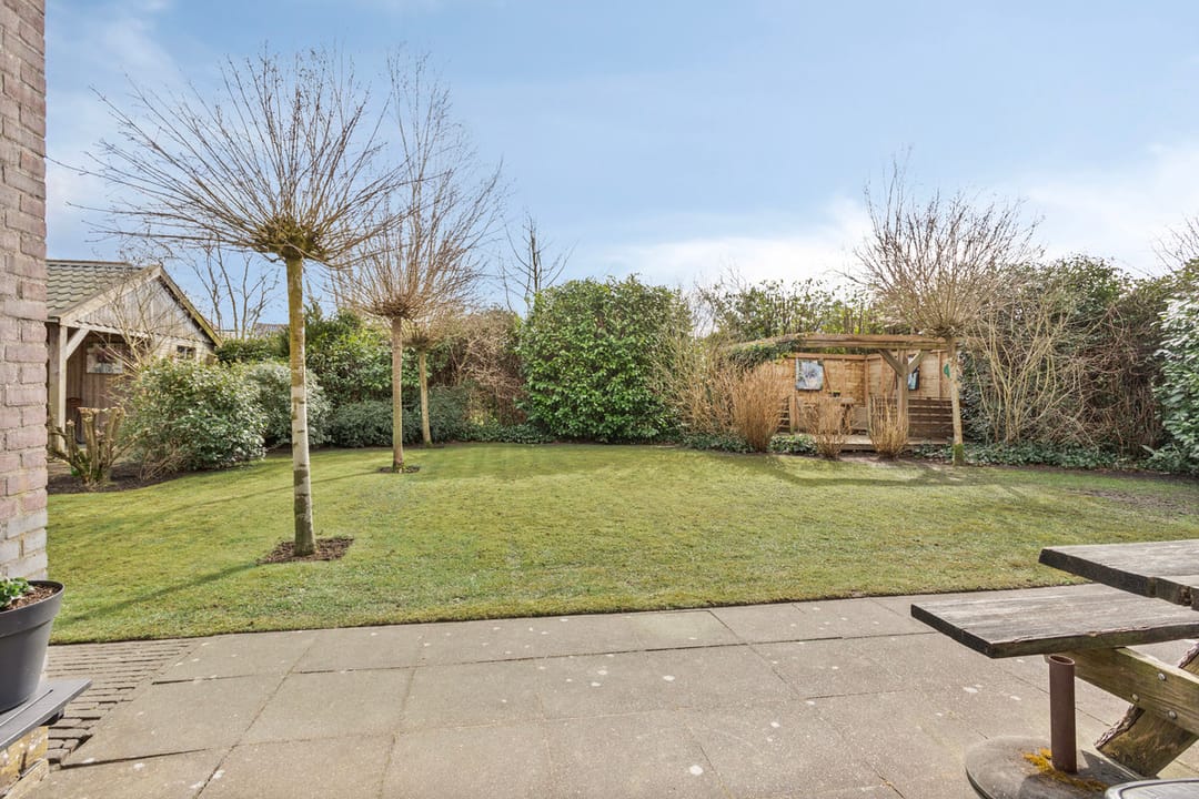 Photo 28 of Moleplaat 8