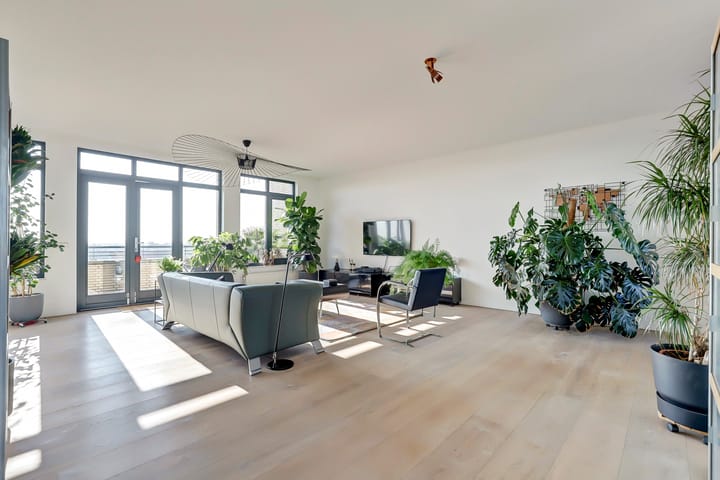 Foto 2 van Slangekruid 67