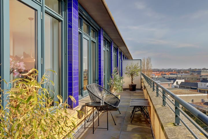 Foto 3 van Slangekruid 67