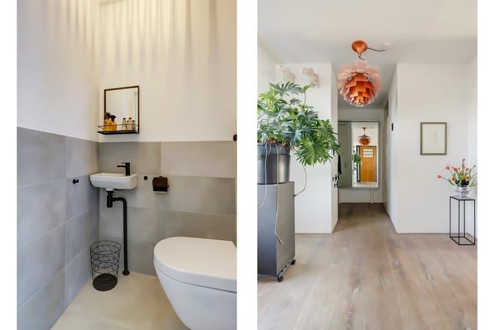 Foto 5 van Slangekruid 67