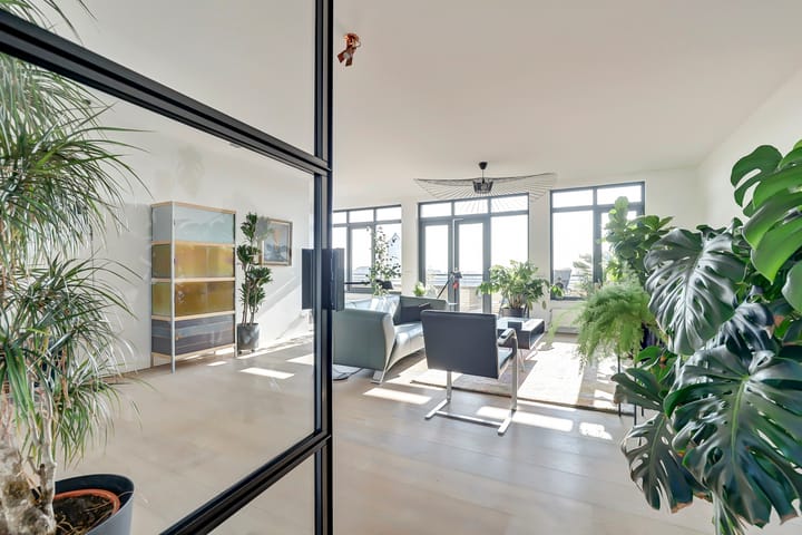 Foto 6 van Slangekruid 67