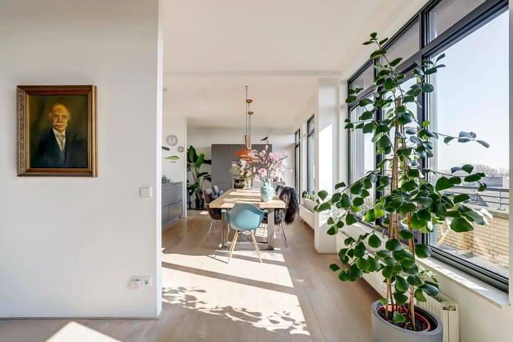 Foto 10 van Slangekruid 67