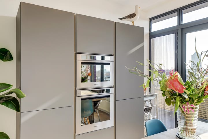 Foto 16 van Slangekruid 67