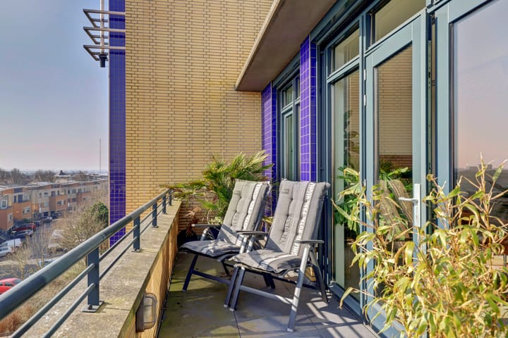 Foto 20 van Slangekruid 67