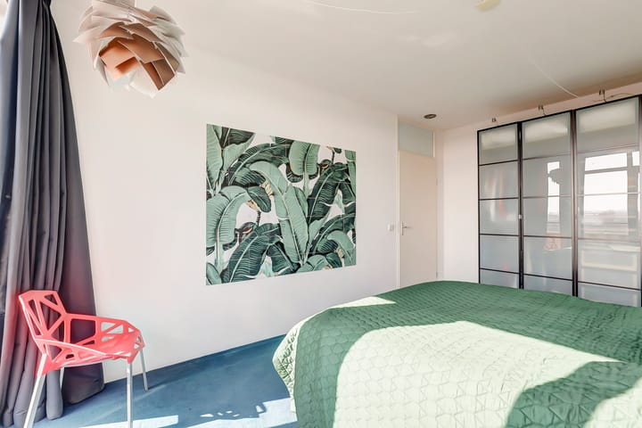 Foto 22 van Slangekruid 67