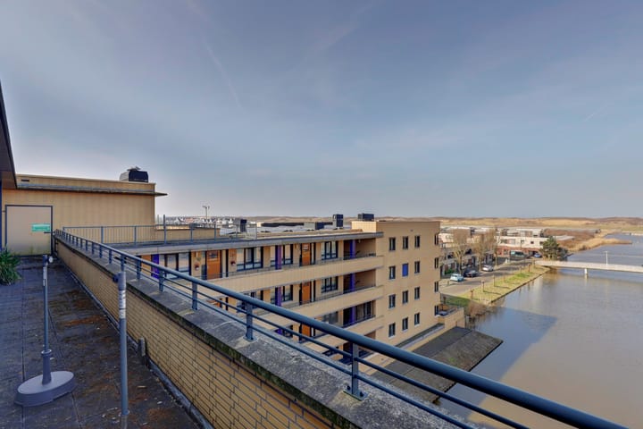 Foto 30 van Slangekruid 67