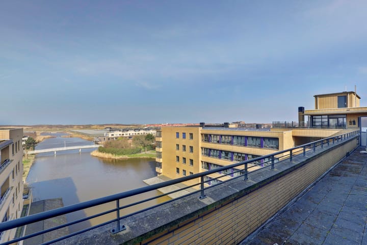 Foto 31 van Slangekruid 67