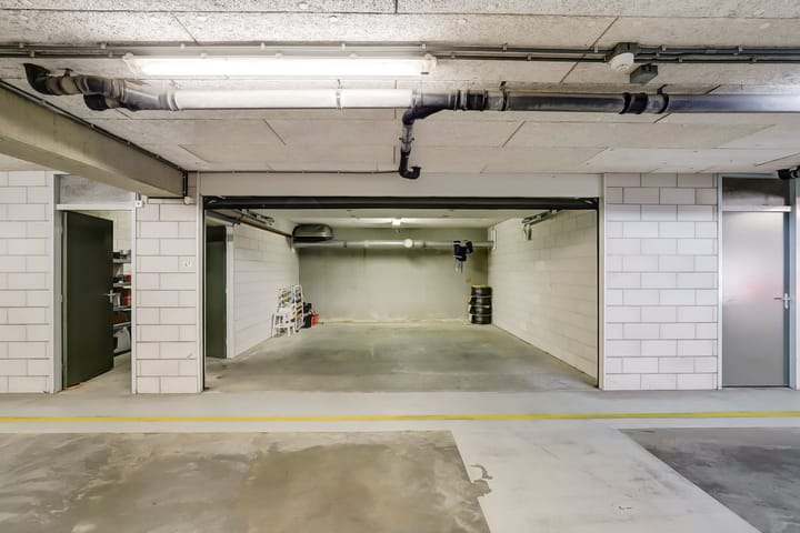 Foto 34 van Slangekruid 67