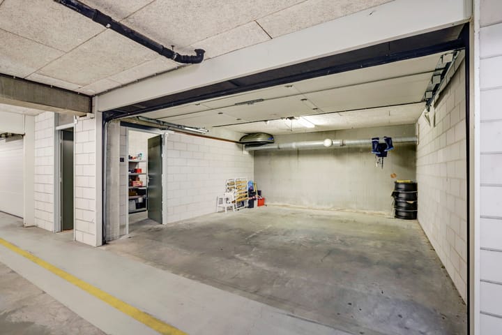 Foto 35 van Slangekruid 67