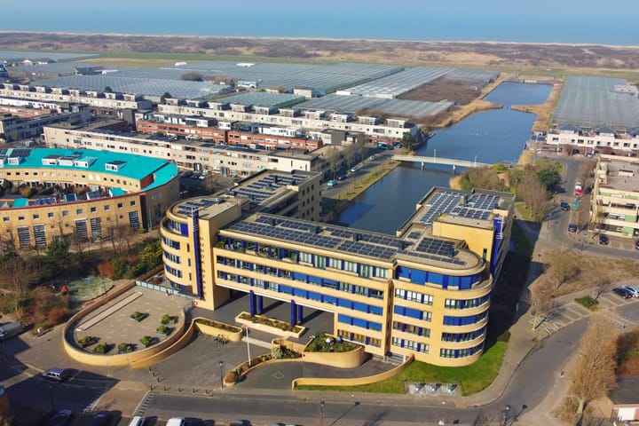 Foto 36 van Slangekruid 67