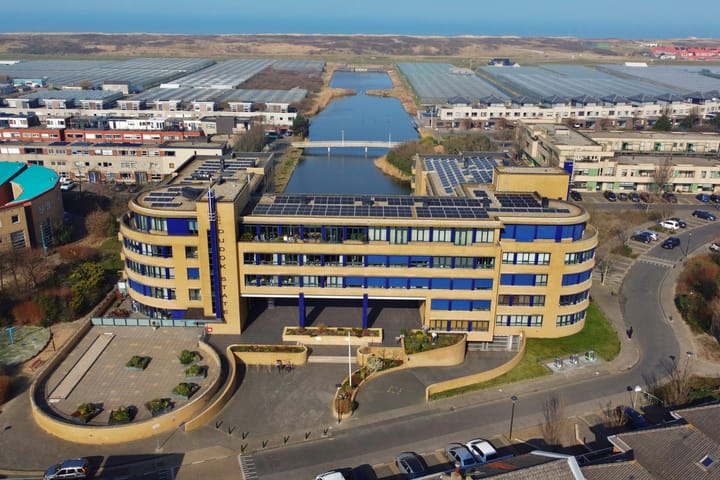 Foto 37 van Slangekruid 67