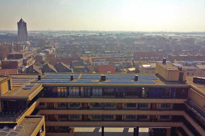 Foto 39 van Slangekruid 67