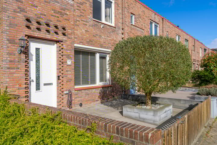 Photo 5 of Muurkruid 13