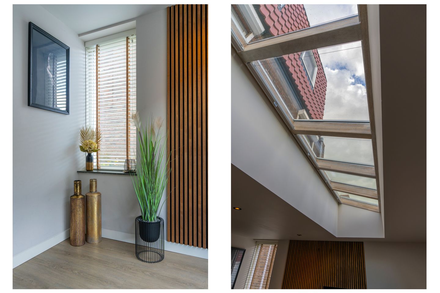 Foto 20 van Muurkruid 13