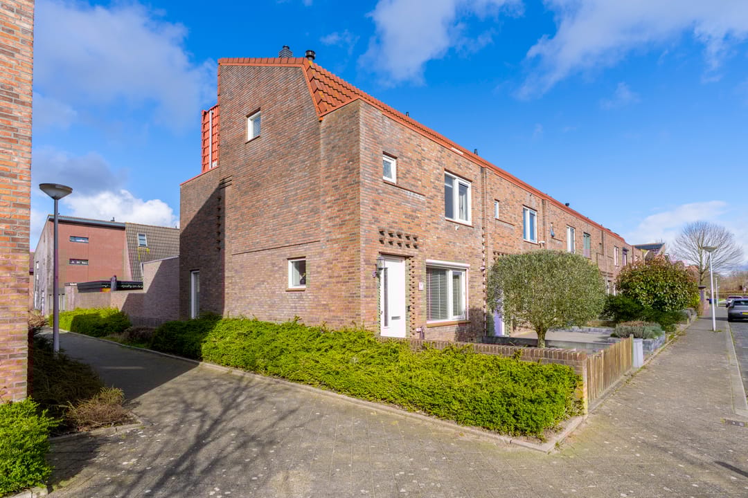 Foto 41 van Muurkruid 13