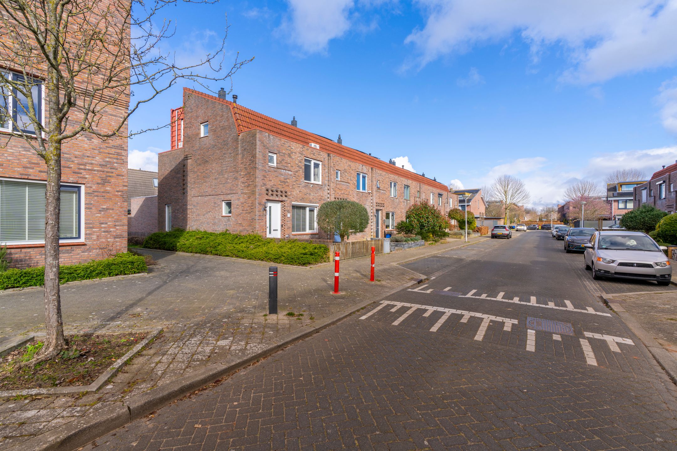 Foto 42 van Muurkruid 13