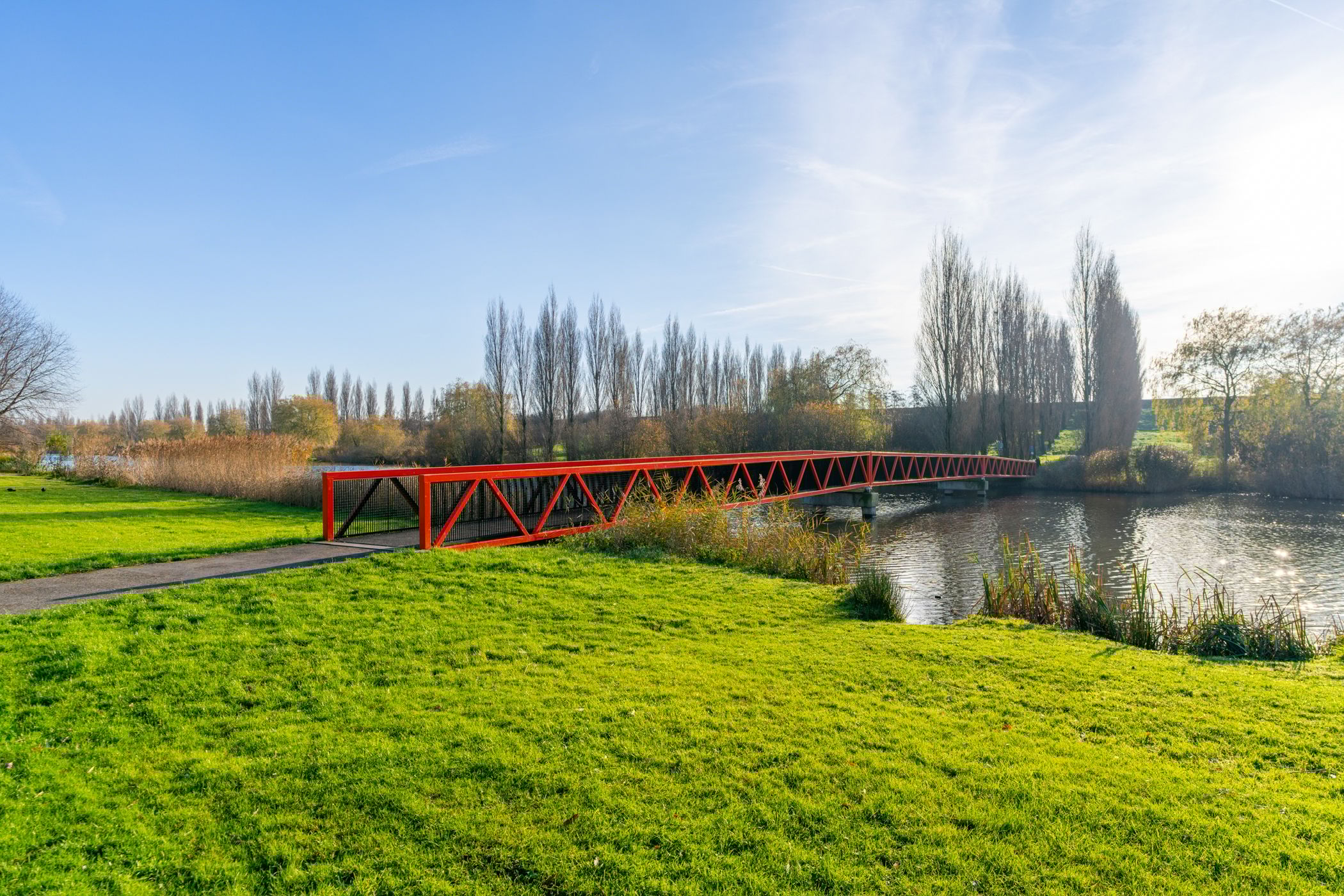 Foto 45 van Muurkruid 13