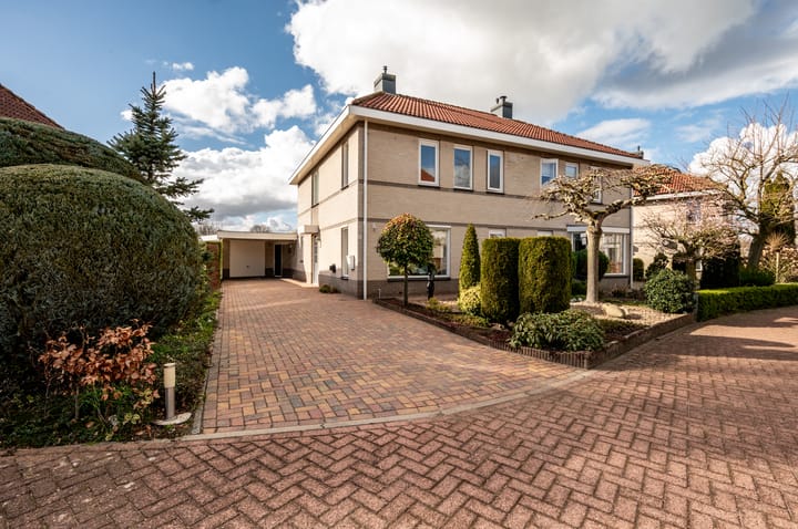 Foto 1 van Lupine 12