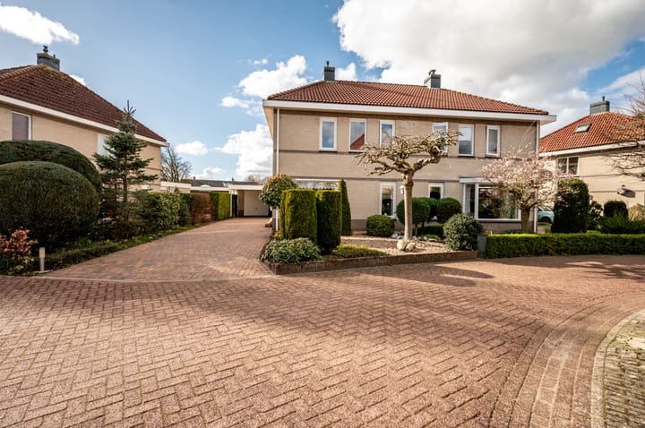 Foto 4 van Lupine 12