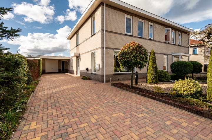 Foto 5 van Lupine 12