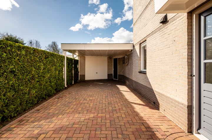 Foto 6 van Lupine 12