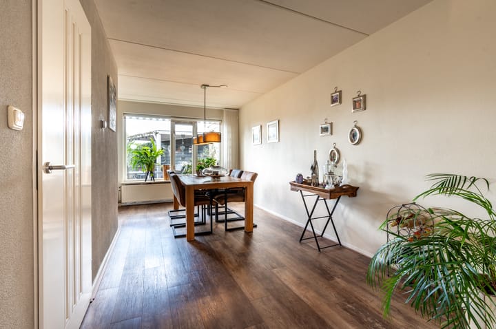 Foto 11 van Lupine 12