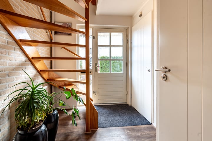 Foto 16 van Lupine 12