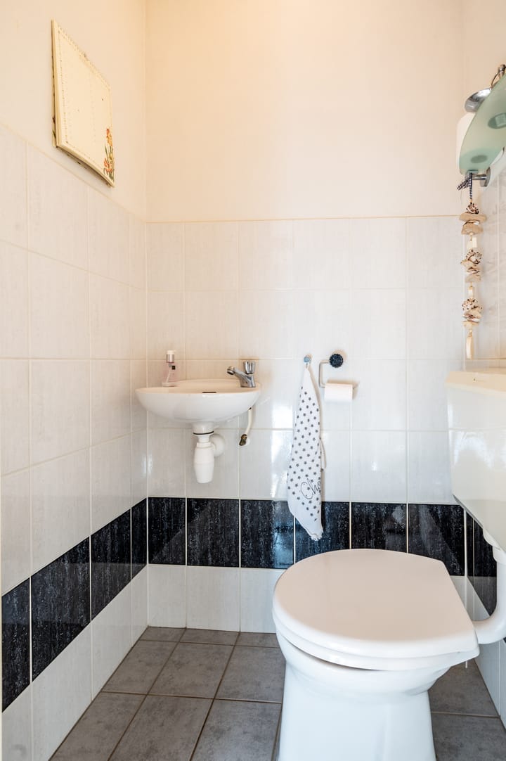 Foto 17 van Lupine 12