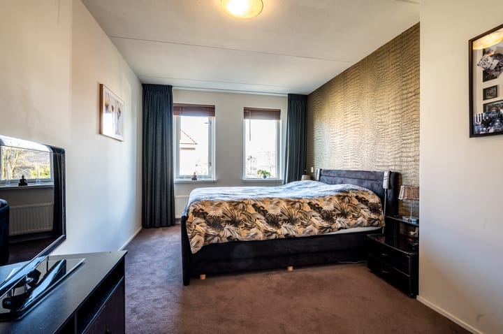 Foto 18 van Lupine 12