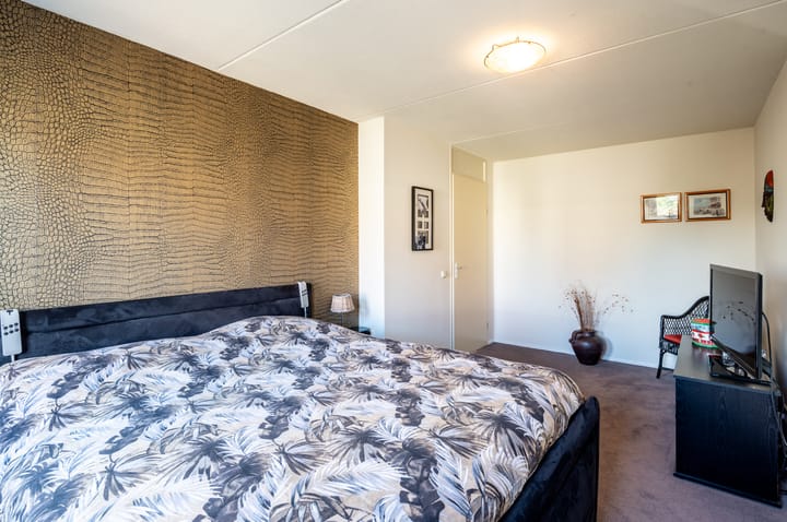 Foto 19 van Lupine 12