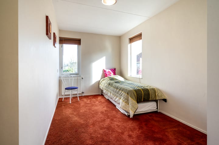 Foto 20 van Lupine 12