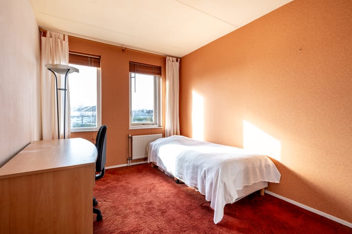 Foto 22 van Lupine 12